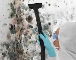 Best Basement Mold Removal in Lewiston, UT